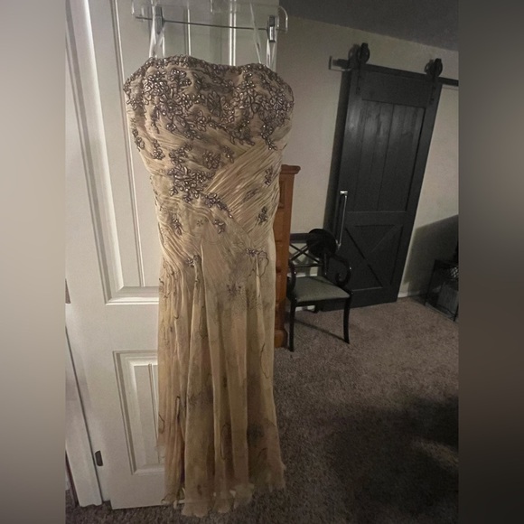 Rina diMontella Strapless Chiffon Gown in Cream and Silver, size 16W - Picture 2 of 11